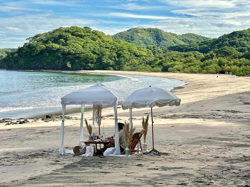 Luxury Beach Picnic