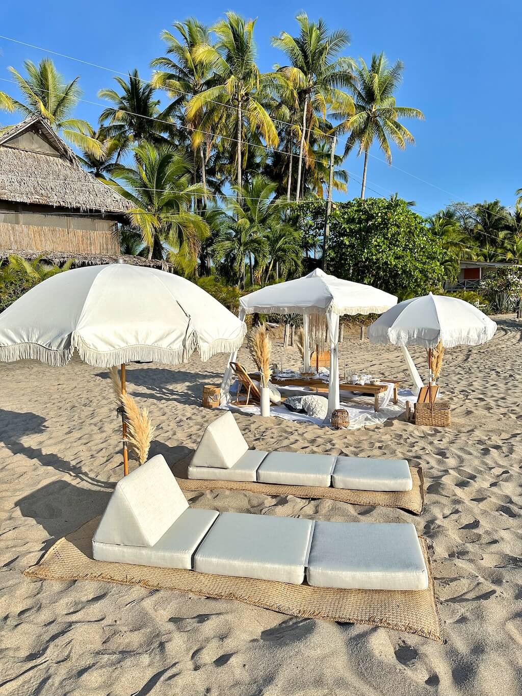 Luxury Beach Picnic in Costa Rica