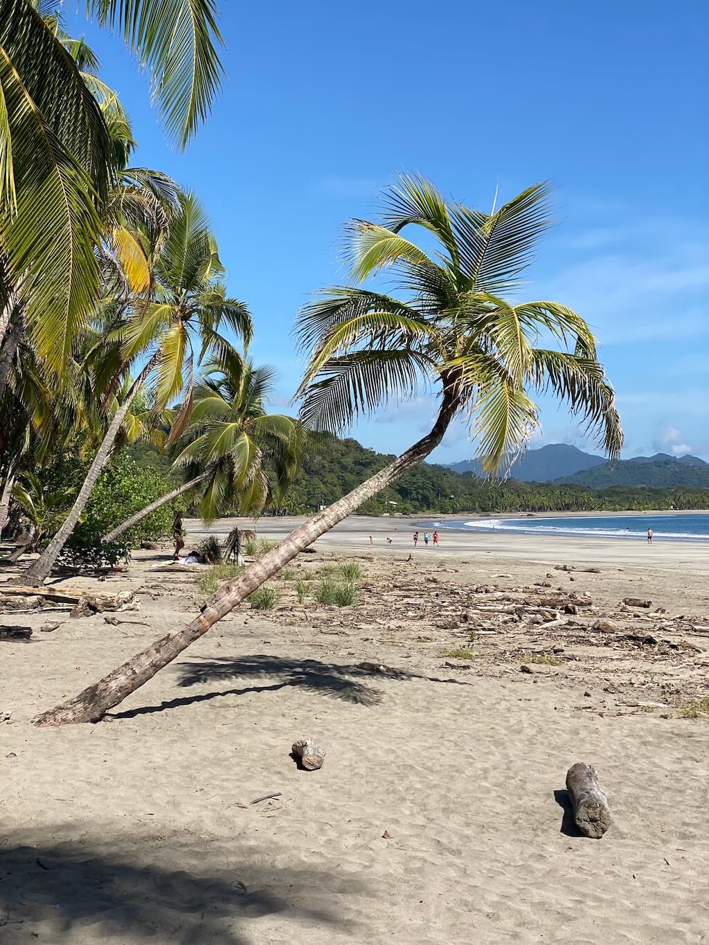 Playa Carillo