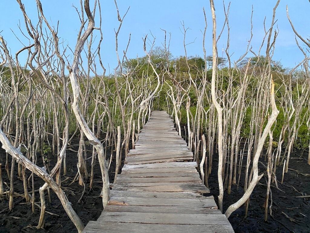 Best beaches in Guanacaste, Playa Avellanas