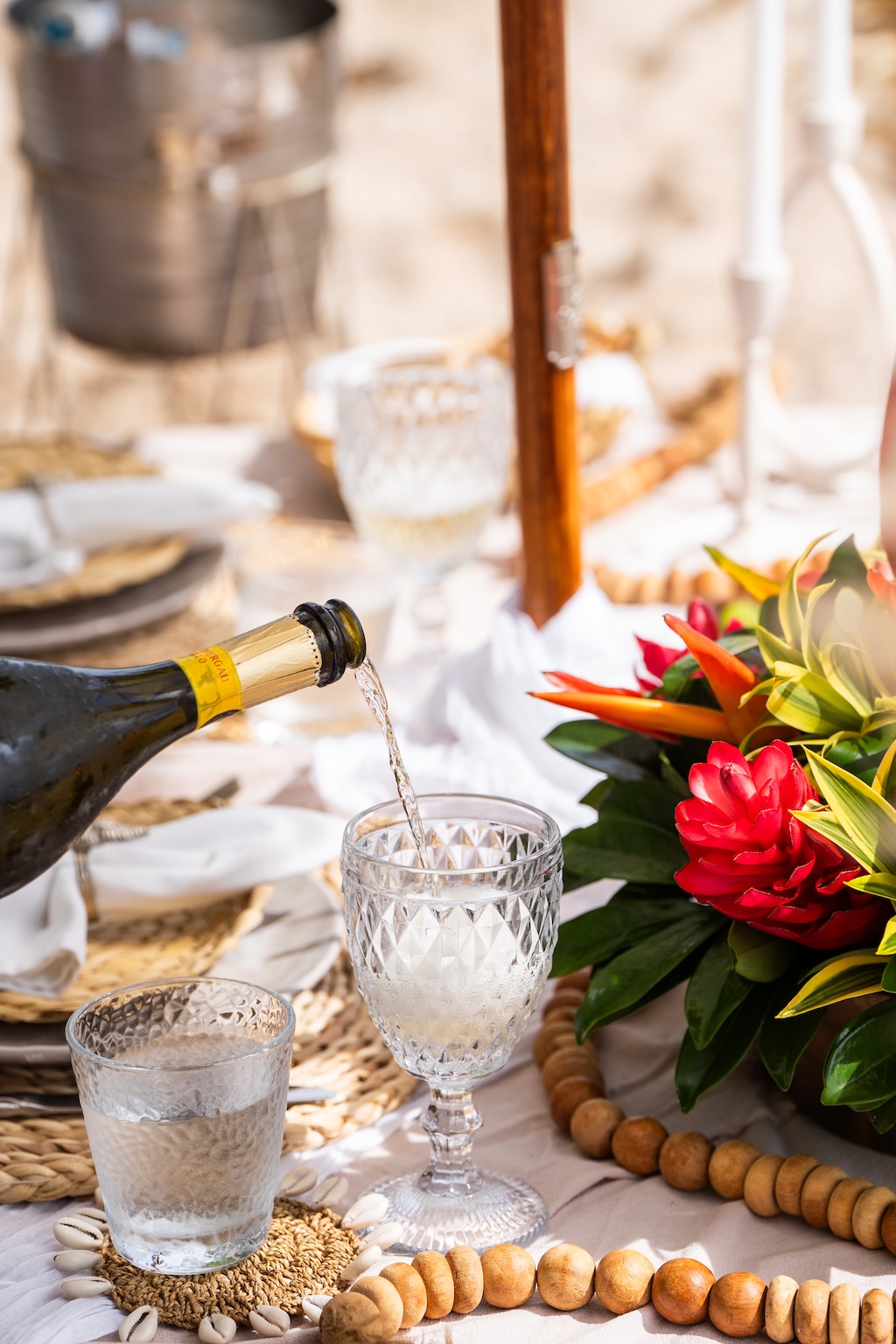 Luxury Beach Picnic Tamarindo